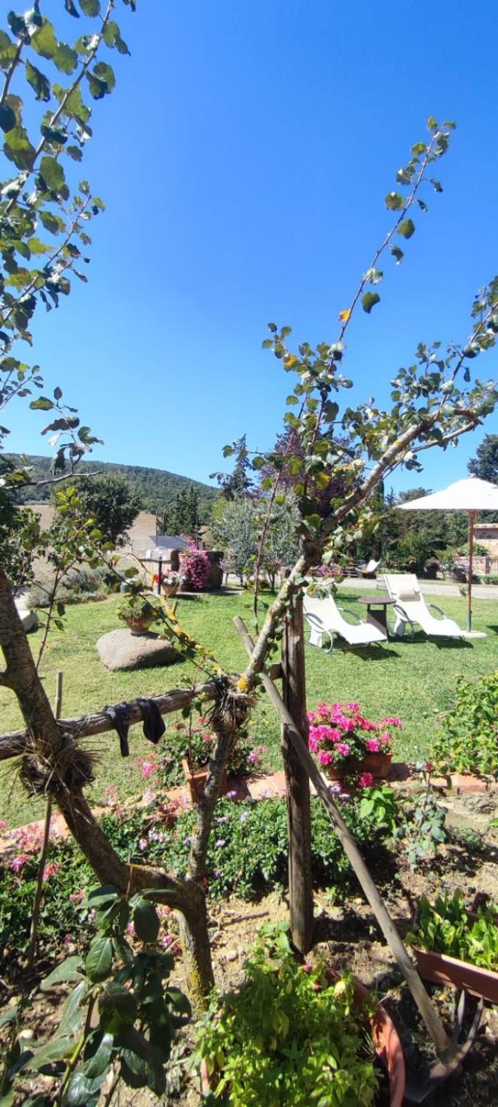 Agriturismo Il Pozzo กัสตีลีโยเน ดิ ออร์ชา ภายนอก รูปภาพ