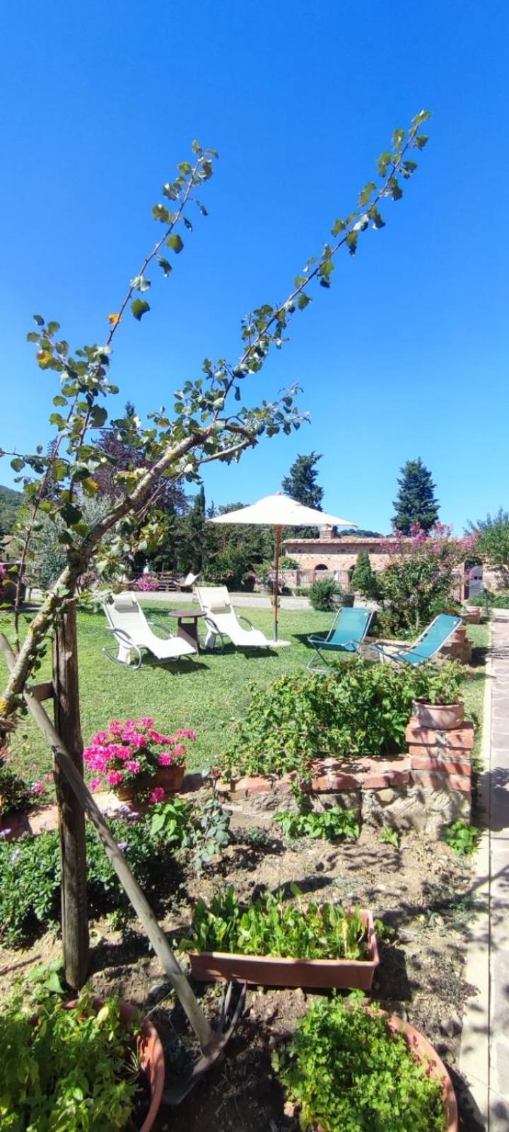 Agriturismo Il Pozzo กัสตีลีโยเน ดิ ออร์ชา ภายนอก รูปภาพ