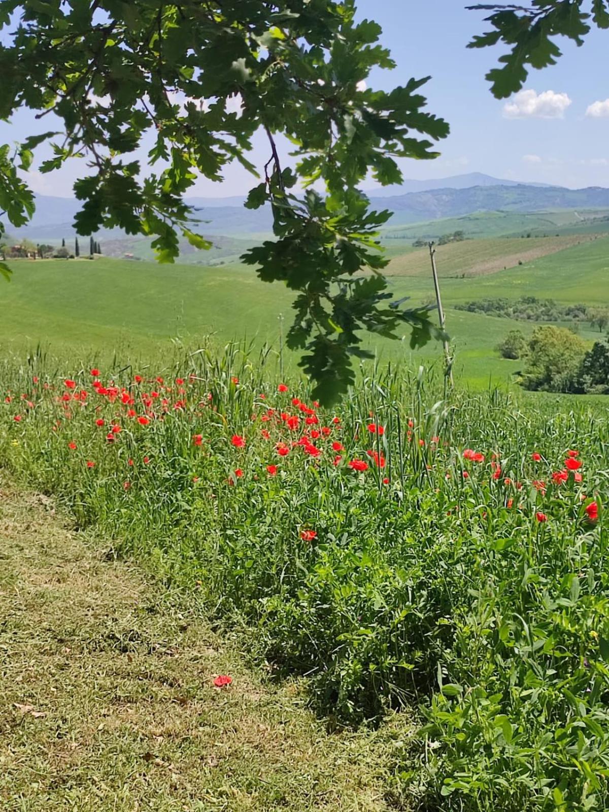 Agriturismo Il Pozzo กัสตีลีโยเน ดิ ออร์ชา ภายนอก รูปภาพ